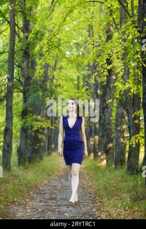 Femelle en robe bleue marchant le long de l'allée d'arbre tilleul d'automne. Banque D'Images