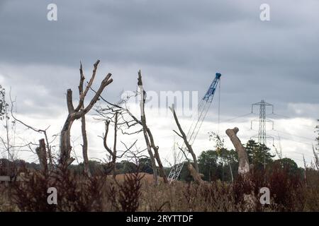 FICHIER PICS. 2 octobre 2023. Après des jours de spéculation, Sky News a annoncé aujourd'hui, 2 octobre 2023, de la conférence du Parti conservateur à Manchester que le HS2 Northern Leg de Birmingham à Manchester devait être annulé. Wendover Dean, 1 octobre 2023. HS2 'mitigation' à côté de Jones Hill Wood à Wendover Dean, Aylesbury. HS2 ont détruit une grande partie de Jones Hill Wood qui est un ancien bois où de rares chauves-souris barbastelles sont connues pour perdurer. L'atténuation HS2 a consisté à « transloquer » les branches d'arbres morts abattues (photo) dans le sol dans un champ voisin et à en installer quelques-unes Banque D'Images