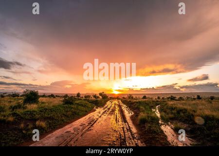 Saison des pluies dans la savane du Kenya. Paysage en Afrique, soleil, pluie, arc-en-ciel, safari photographie. Banque D'Images