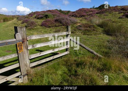 Porte du domaine de Spâunton, North Yorkshire Moors, Royaume-Uni. Banque D'Images