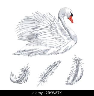 Cygne blanc aquarelle. Plumes blanches dessinées à la main isolées sur fond blanc. concept d'amour. Banque D'Images