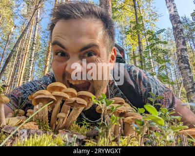 Guy mange un champignon Honey agarics dans une forêt de pins. Photo de haute qualité Banque D'Images