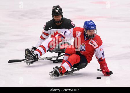 Ostrava, Pologne. 02 octobre 2023. De gauche à droite Auren Halbert, du Canada, et le Tchèque Michal Geier en action lors du match de la coupe internationale de para-hockey 2023 République tchèque vs Canada à Ostravar Arena à Ostrava, République tchèque, le 2 octobre 2023. Crédit : Jaroslav Ozana/CTK photo/Alamy Live News Banque D'Images