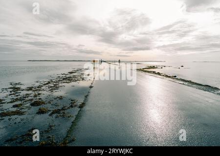 La chaussée à Holy Island photographiée avec un lever de soleil spectaculaire. Photo de haute qualité Banque D'Images