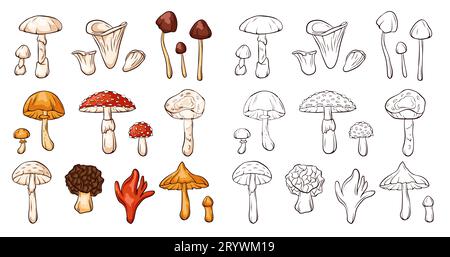 Champignons non comestibles décorés dans un style d'art en ligne. Collection de champignons colorés et monochromes. Illustration vectorielle isolée sur fond blanc. Illustration de Vecteur