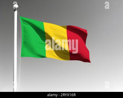 Drapeau national du Mali isolé agitant sur fond gris Banque D'Images