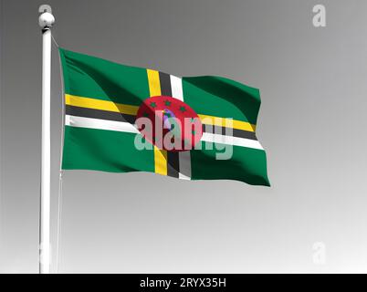 Drapeau national de la Dominique isolé agitant sur fond gris Banque D'Images