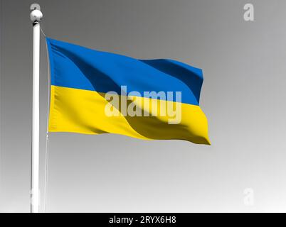 Drapeau national de l'Ukraine isolé agitant sur fond gris Banque D'Images