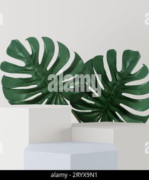 Fond cosmétique et pour la présentation du produit et Monstera. pour illustration de magazine. rendu 3d. Banque D'Images