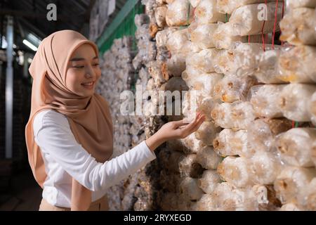 Jeune scientifique musulmane asiatique travaille à la recherche à l'usine de champignons, collectant des champignons matures dans la maison de champignons pour le labourat Banque D'Images