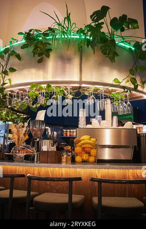 Comptoir de bar dans un café avec une machine à café et des plantes vertes d'en haut Banque D'Images
