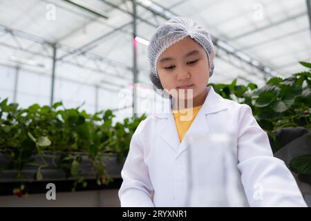 Dans le jardin de fraises fermé, une jeune scientifique mène une expérience de production de nutriments de fraises avec son cours de science. Banque D'Images