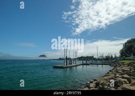 Port de Tauranga avec Mauao Mont Manganui enveloppé de brume en arrière-plan et un état de ravitaillement de bateau Banque D'Images