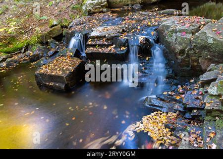 Petit ruisseau en automne, Québec, Canada Banque D'Images