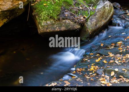 Petit ruisseau en automne, Québec, Canada Banque D'Images