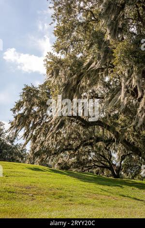 Scènes d'une randonnée lowcountry Banque D'Images