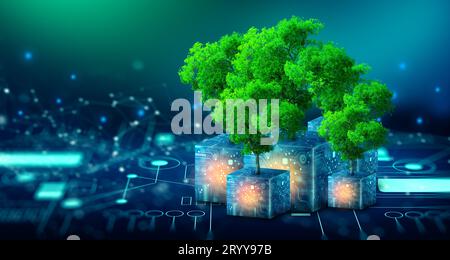 Arbre poussant sur le circuit Digital Cube. Convergence numérique et technologique. Lumière bleue et arrière-plan du réseau filaire. Green Computing, Green Technolo Banque D'Images