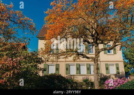 Maison avec beau jardin en automne. Fleurs dans le parc municipal de Bietigheim-Bissingen, Baden-Wuerttemberg, Allemagne, Europe. Automne Pa Banque D'Images