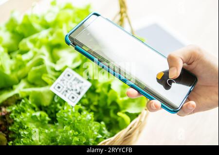 Les clients achètent des légumes biologiques de la ferme hydroponique et paient en utilisant le paiement du système de balayage de code QR au magasin de marché alimentaire. Techno Banque D'Images