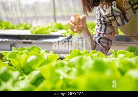 Gros plan de la bouteille de pulvérisation d'eau brumeuse dans la pulvérisation manuelle de l'agriculteur féminin pour faire germer des légumes hydroponiques dans le backgro de pépinière de serre Banque D'Images