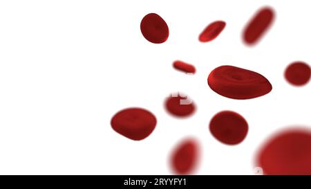 Globules rouges sur fond blanc isolé. Concept médical et médical. Hémoglobine et thème des parties du corps. Thème anatomie. Banque D'Images