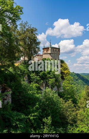 Vue panoramique du château de Lichtenstein en Allemagne. Banque D'Images
