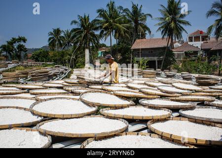 Sumedang, Java Ouest, Indonésie. 3 octobre 2023. Un ouvrier sèche de la farine de tapioca fabriquée à partir de manioc dans une maison de production de Sumedang, Java occidental. Les ventes de farine de tapioca ont diminué de 50 % en raison d'une baisse de la demande du marché. (Image de crédit : © Algi Febri Sugita/ZUMA Press Wire) USAGE ÉDITORIAL SEULEMENT! Non destiné à UN USAGE commercial ! Banque D'Images