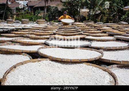 Sumedang, Java Ouest, Indonésie. 3 octobre 2023. Un ouvrier sèche de la farine de tapioca fabriquée à partir de manioc dans une maison de production de Sumedang, Java occidental. Les ventes de farine de tapioca ont diminué de 50 % en raison d'une baisse de la demande du marché. (Image de crédit : © Algi Febri Sugita/ZUMA Press Wire) USAGE ÉDITORIAL SEULEMENT! Non destiné à UN USAGE commercial ! Banque D'Images