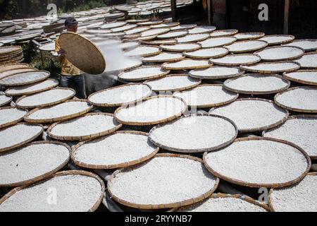 Sumedang, Java Ouest, Indonésie. 3 octobre 2023. Un ouvrier sèche de la farine de tapioca fabriquée à partir de manioc dans une maison de production de Sumedang, Java occidental. Les ventes de farine de tapioca ont diminué de 50 % en raison d'une baisse de la demande du marché. (Image de crédit : © Algi Febri Sugita/ZUMA Press Wire) USAGE ÉDITORIAL SEULEMENT! Non destiné à UN USAGE commercial ! Banque D'Images