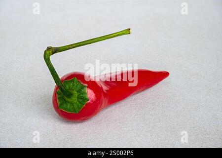 Piment rouge isolé sur le dessus de table en céramique Banque D'Images