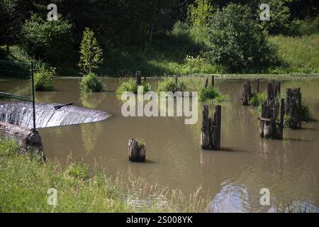 Un barrage sur une rivière. Drainage de l'eau. Structure de drainage. Débit d'eau. Banque D'Images