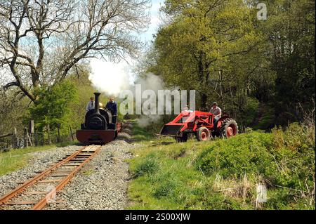 'Winifrad' entre Dolfawr et Pentrepiod s'arrête avec un train de wagons d'ardoise, de tracteur d'époque et de ré-acteurs. Banque D'Images