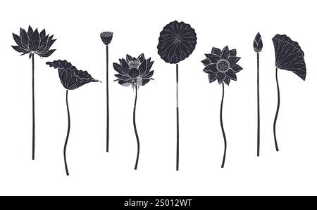 Ensemble de silhouette noire de fleurs de lotus et de feuilles isolées sur fond blanc Illustration de Vecteur