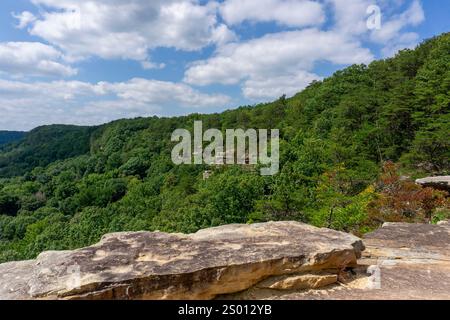 Une falaise de grès offre une vue sur les pentes boisées et les affleurements rocheux de Savage Gulf, à côté de la Great Stone Door Trail dans le parc d'État de Savage Gulf. Banque D'Images