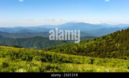 Une vue sur les montagnes Blue Ridge depuis le sentier Appalachian Trail au sommet de Round Bald dans le Tennessee-Caroline du Nord. Couches de prairies, forêts et lointaines Banque D'Images