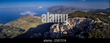 Forêt de chênes indigènes de la chaîne de montagnes Tramuntana, forêt de Planícia, frontière entre les municipalités de Banyalbufar, Esporles et Puigpunyent. Mallo Banque D'Images