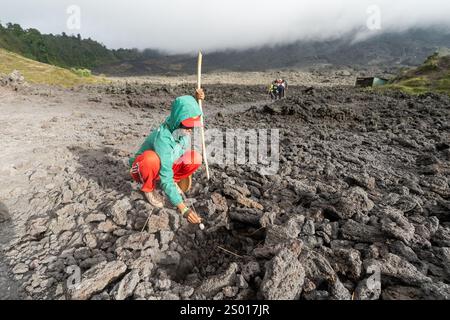 Fonte de la guimauve au volcan Pacaya, Guatemala Banque D'Images