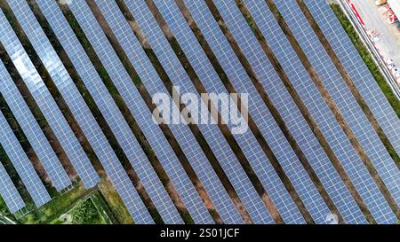 Cette vue aérienne capture une vaste disposition de panneaux solaires dans un vaste champ, soulignant les efforts vers la production d'énergie renouvelable. Banque D'Images