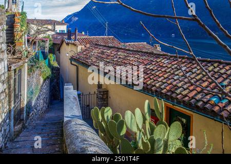 Vue magnifique sur la fin du sentier Olive dans le village de Gandria dans la banlieue de Lugano (lac Lugano) Banque D'Images