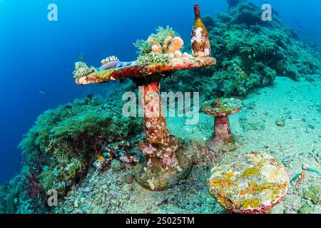 Table sous-marine, chaises et bouteille sur un récif corallien tropical à Bali Banque D'Images