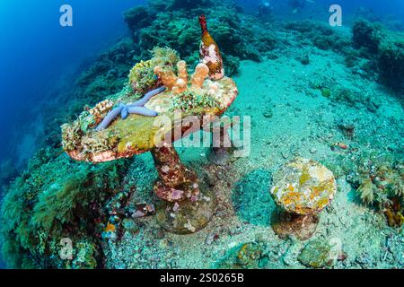 Table sous-marine, chaises et bouteille sur un récif corallien tropical à Bali Banque D'Images