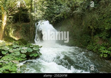 Merveilleux paysages naturels des chutes de Marmore (Cascata delle Marmore) en Ombrie, province de Terni, Italie (partie III). Banque D'Images