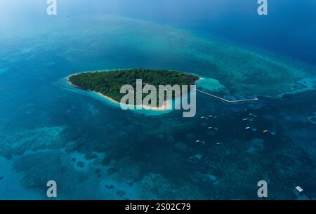 Aerial Green Island Grande barrière de corail Australie Banque D'Images
