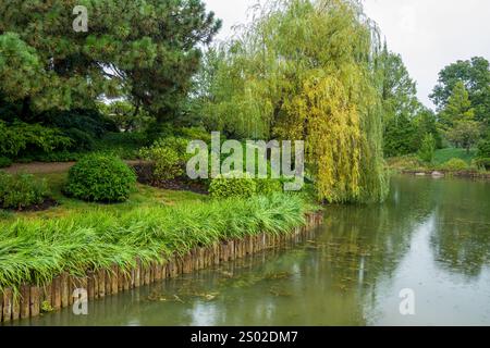 Willow Lined Path dans le jardin japonais Elizabeth Hubert Malott au jardin botanique de Chicago. Banque D'Images