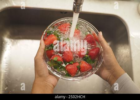Gros plan des mains tenant un bol de fraises fraîches lavées dans l'évier de cuisine Banque D'Images