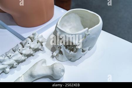 Modèle imprimé sur imprimante 3D sous forme de squelette, technologies additives et concept futuriste Banque D'Images