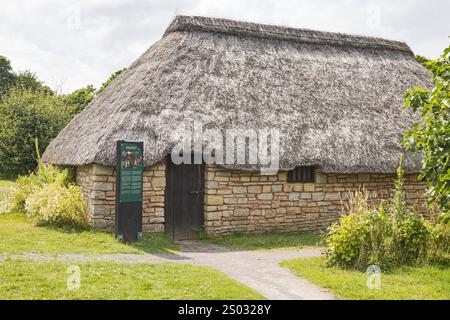 Swineherd Cottage, Cosmeston Medieval Village, Penarth, Vale of Glamorgan, pays de Galles du Sud, ROYAUME-UNI Banque D'Images