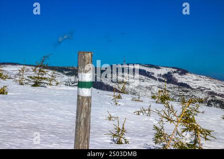 Marquant la route pour la randonnée dans les montagnes, le sentier menant à Malinowska Skała dans les Beskids de Silésie Banque D'Images