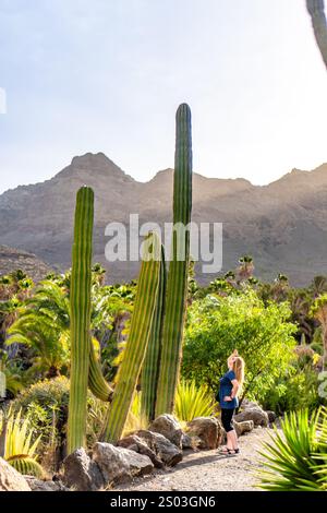 Une femme se tient devant une grande plante de cactus. La plante est entourée d'autres cactus et arbustes. La femme regarde le cactus, peut-être adm Banque D'Images