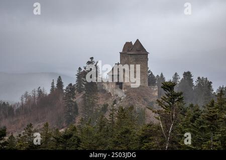 Château de Kasperk dans Hilly nature pendant Misty Day en République tchèque. Vue du monument sur la colline avec forêt dans le sud-ouest de la Bohême. Banque D'Images